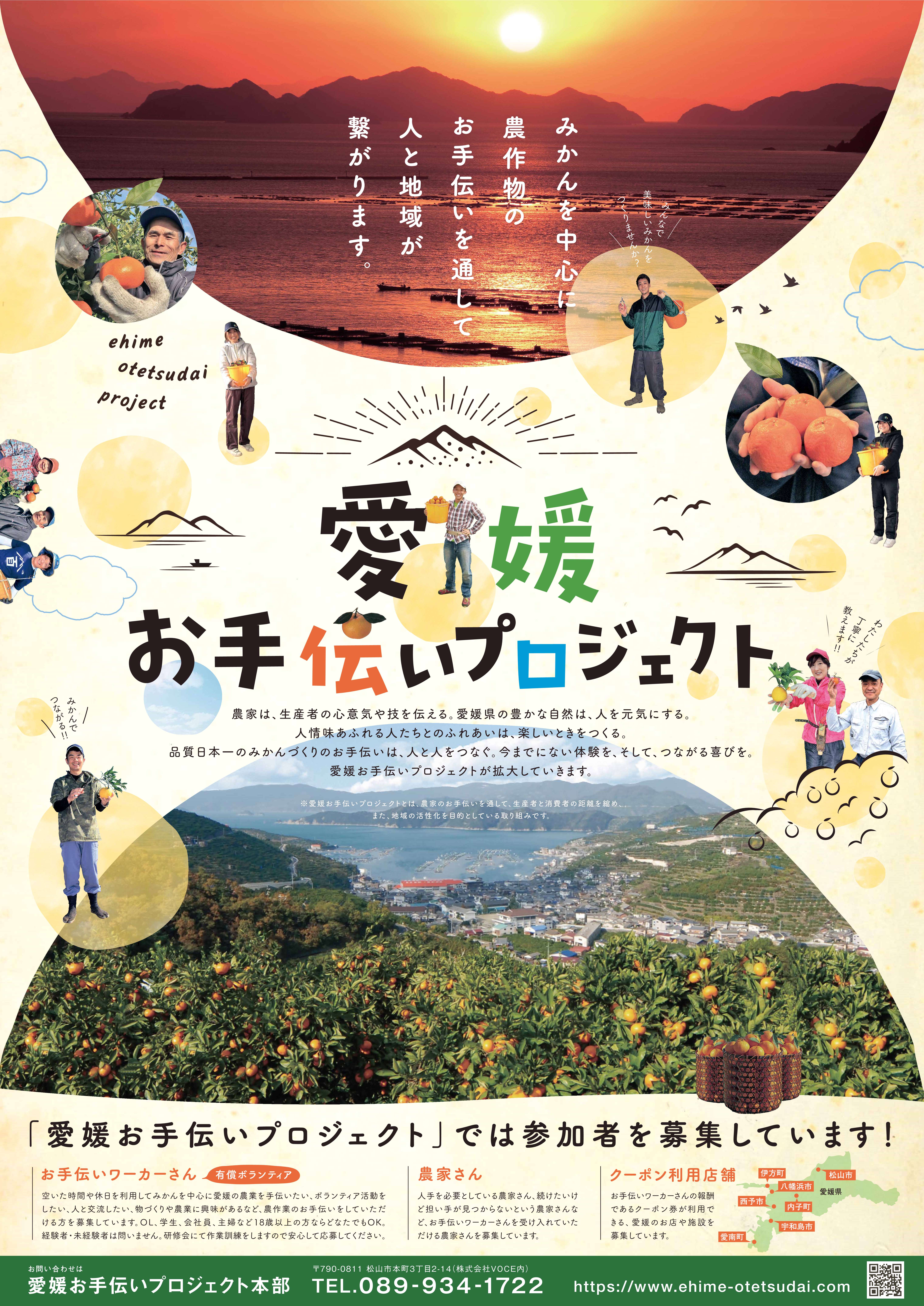 みかん作りのお手伝いをしてみませんか
